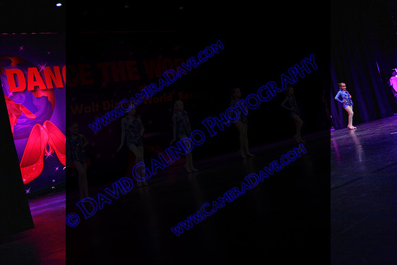 DTW15-8121