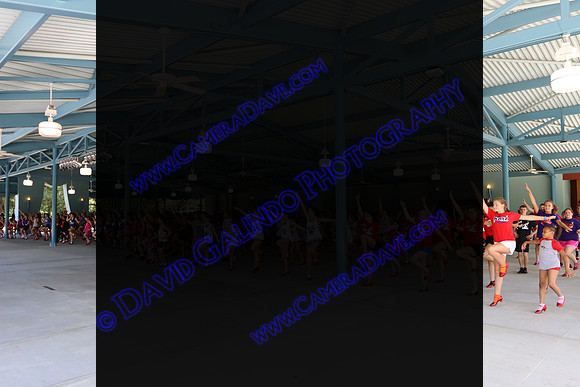 DTW15-0029