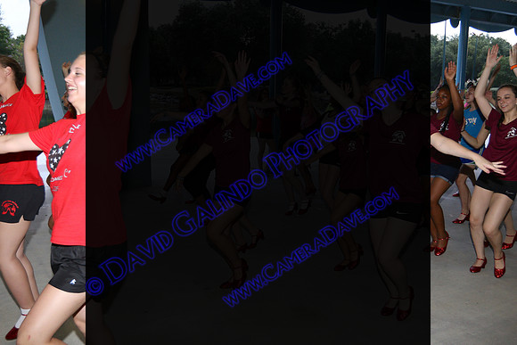 DTW15-0590