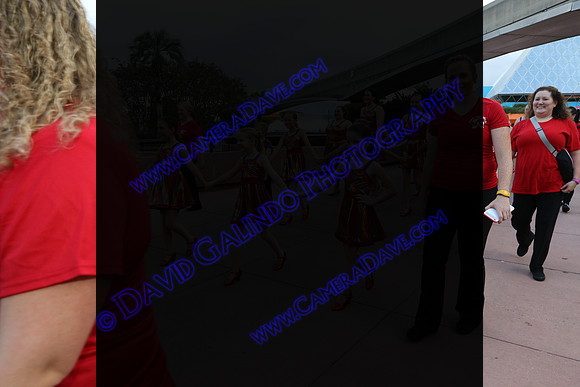 DTW17_08210