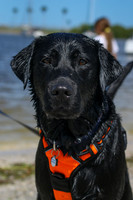 IMG_9073