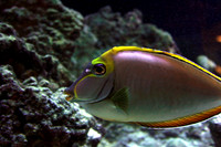 IMG_2008b