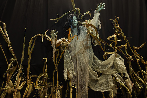 IMG_2427