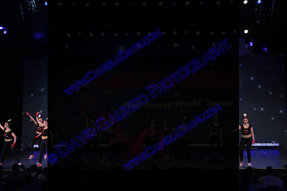 DTW16_06875
