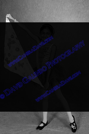 DGP_1435b
