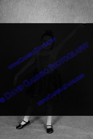 DGP_1481b