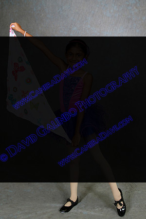 DGP_1435