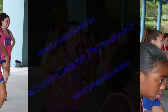 DTW17_00313