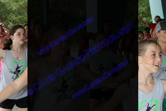 DTW17_00294