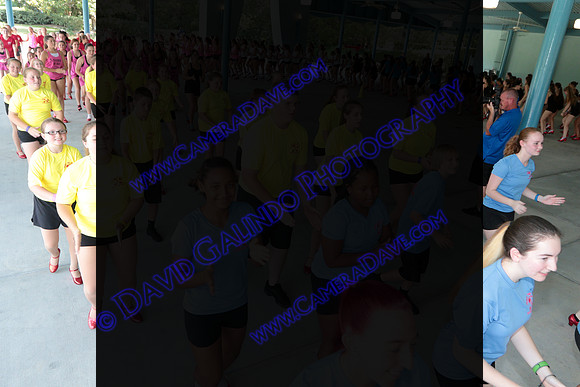 DTW16_09572