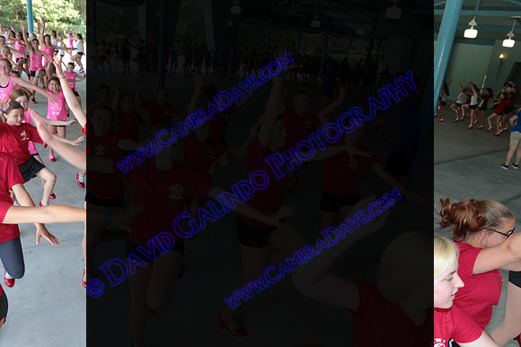 DTW16_09586