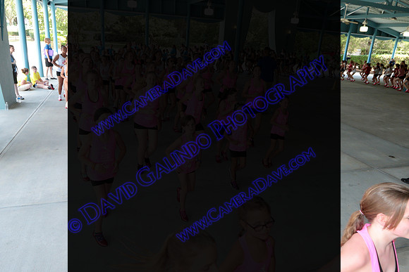 DTW16_09594