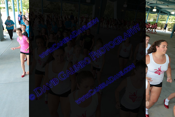 DTW16_09607