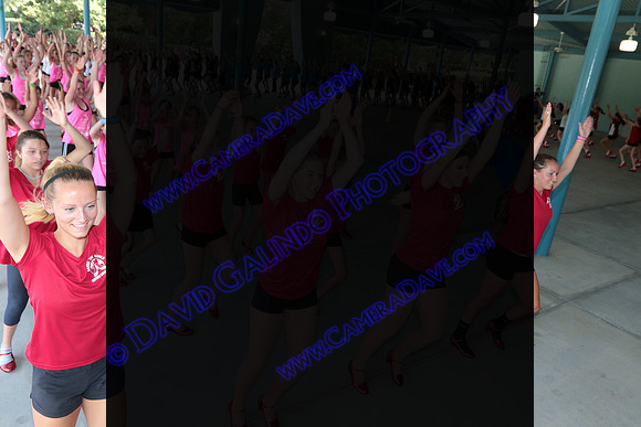 DTW16_09588