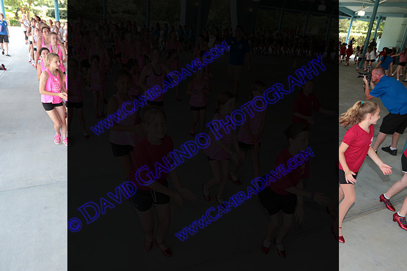 DTW16_09591