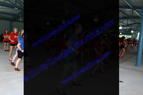 DTW17_00795