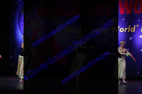 DTW14-9067