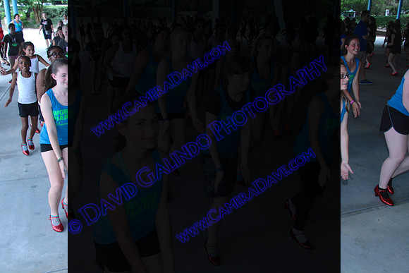 DTW16_22750