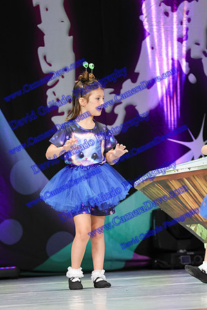 DG1_9461