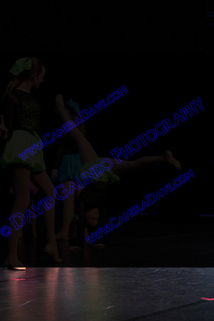 DTW14-25047