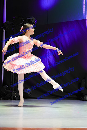 DG1_5617