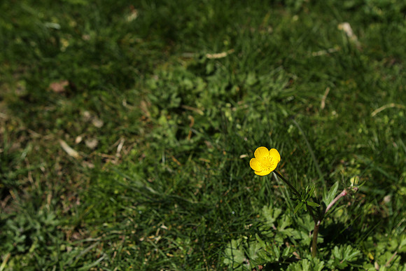 IMG_6610