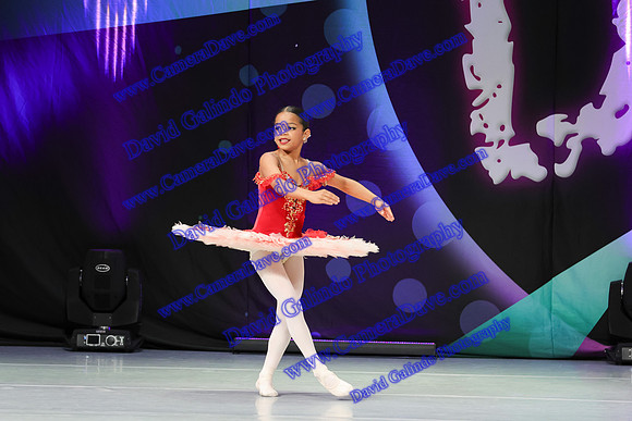 DG1_3546