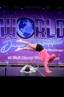 WDC25-12013