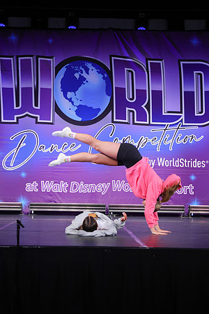WDC25-12013