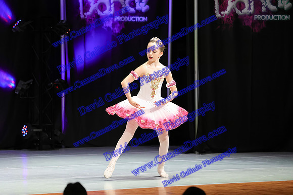 DG1_5579