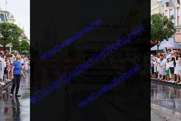 DTW15-24087