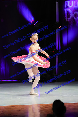 DG1_5595