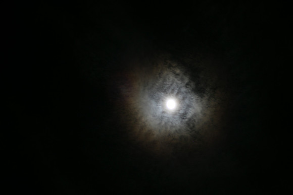 DGP_7934