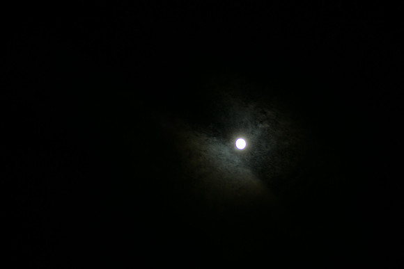 DGP_7936