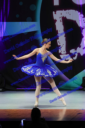 DG1_3455