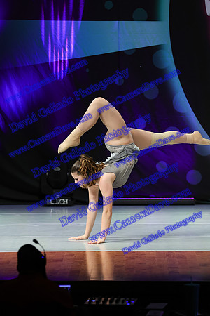 DG1_3929