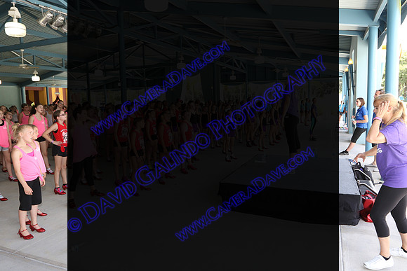 DTW15-22003
