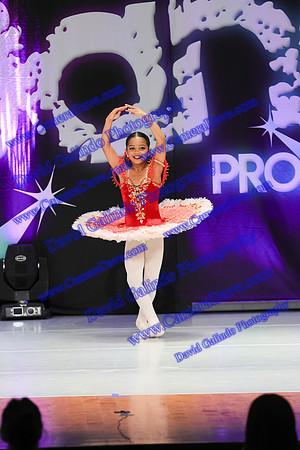 DG1_3516