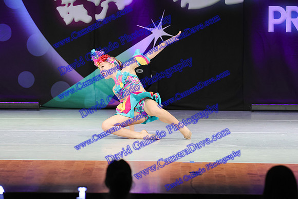 DG1_5267