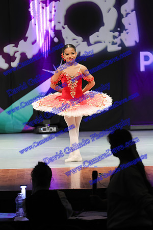 DG1_3559