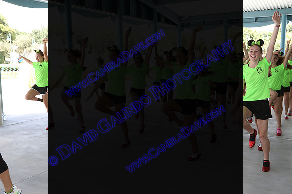 DTW15-22014