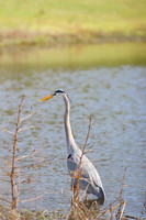 IMG-5013