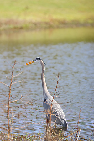 IMG-5013