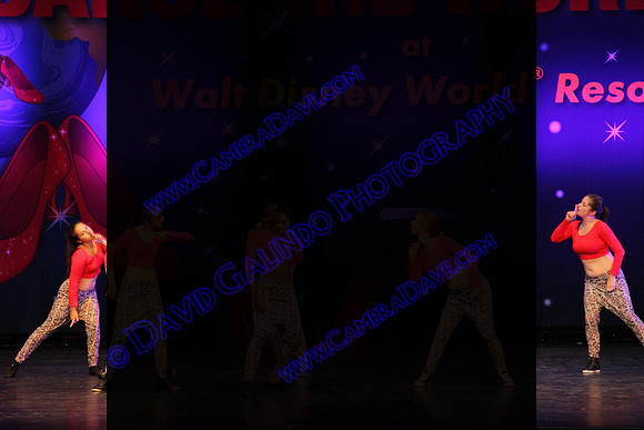 DTW14-13381