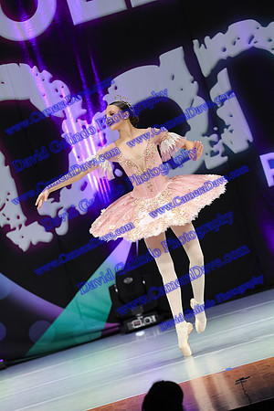 DG1_5391