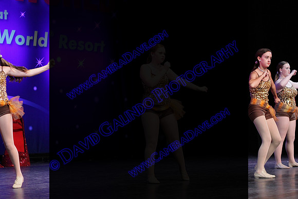 DTW14-10878