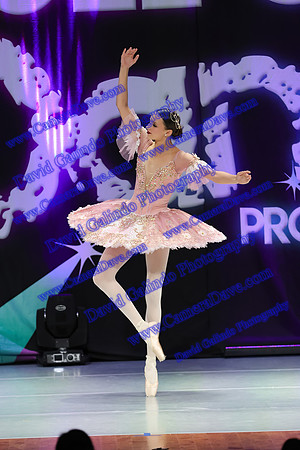 DG1_5378