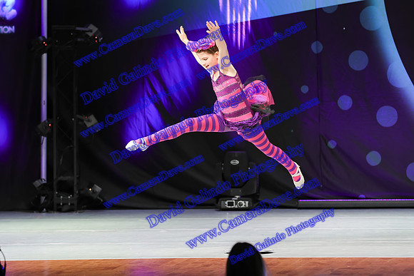 DG1_0029