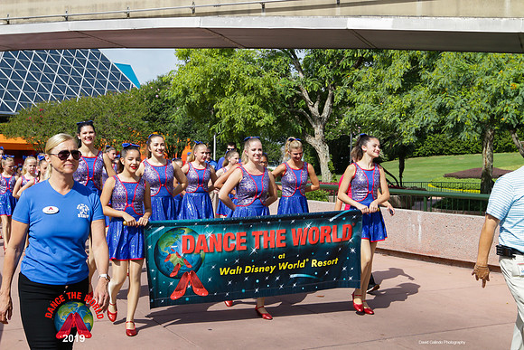 DTW19-01501