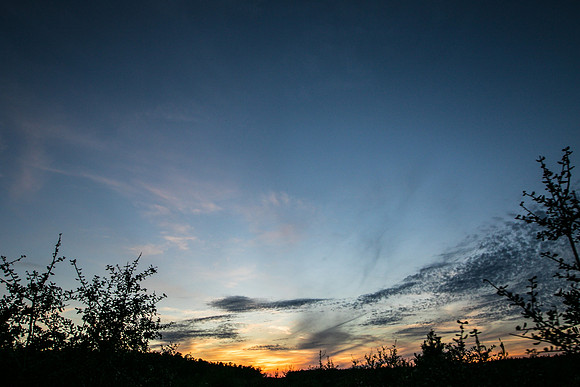 DGP_7998